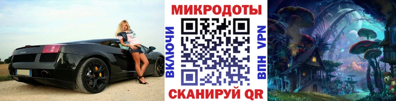 как найти   Губкин  Галлюциногенные грибы Psilocybine cubensis 